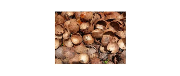 Coconut Shell